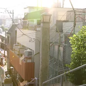 Lily【公式公認】