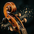 eMDluPfMxFk-channel-avatar-Alistair’s Noble Symphonies
