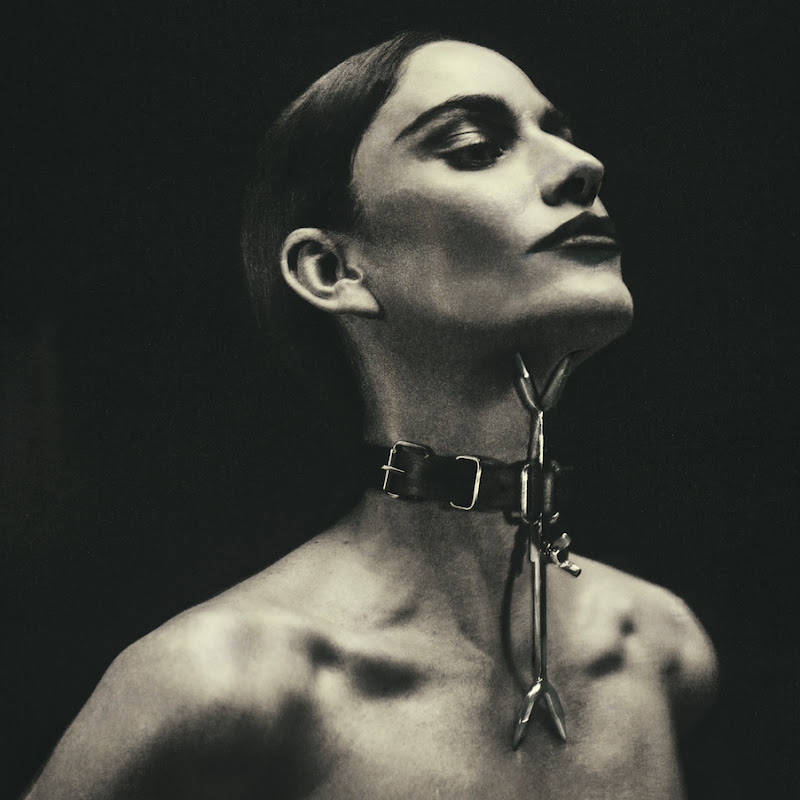 Niia icon