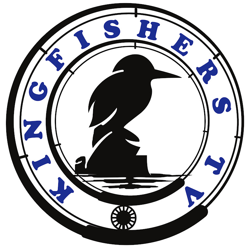 KINGFISHER'S TV by Luis Gonzales Jr