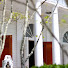 0rCDLk9jbcs-channel-avatar-Watch Hill Chapel
