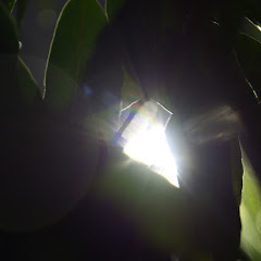 Thumbnail of related channel