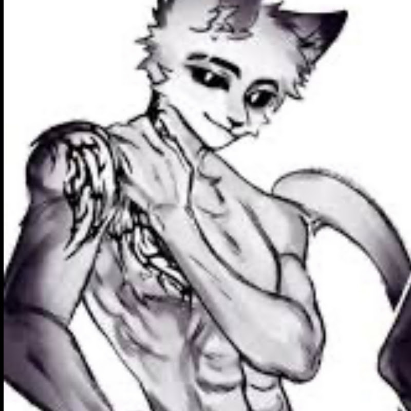 Hire Catnap — Pets & Animals YouTube creator for sponsorships