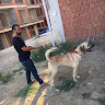 Автор