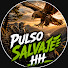 OesNnArq1is-channel-avatar-Pulso Salvaje HH