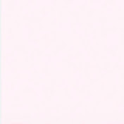 adoptmetrading
