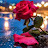 @hananeadam-l7f