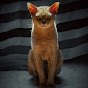 SimbAs CatS TV. Games, music, videos for cats logo