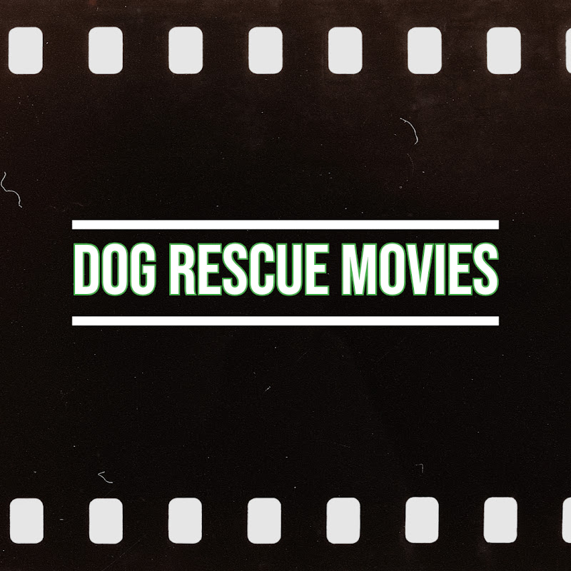 Dog Rescue Movies