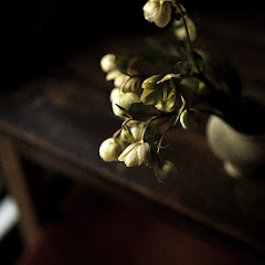 Takashi Niigaki - Topicアイコン画像