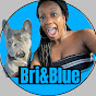 Bri&Blue logo