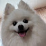 v4xxkS-vIH8-channel-avatar-いんきち
