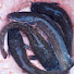 2wYM8b3wiLo-channel-avatar-Adador FishFarm