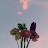 @바이올릿-m3z