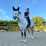 RASaJsMvQYg-channel-avatar-Equine Mollie