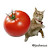 @Sausages-for_everyone Avatar