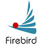 Firebird New Material Technology Co., Limited logo