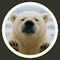 Climate Bears logo