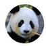 5N9QIzuL5hQ-channel-avatar-Lòng Vòng
