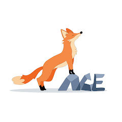 FoxAceGames