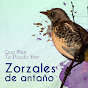 Hermanas Mendoza Sangurima - Topic