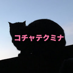 コチャテクミナ