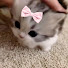 auULh49RKMo-channel-avatar-clara ♡