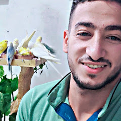 عشاق طيور الزينه 