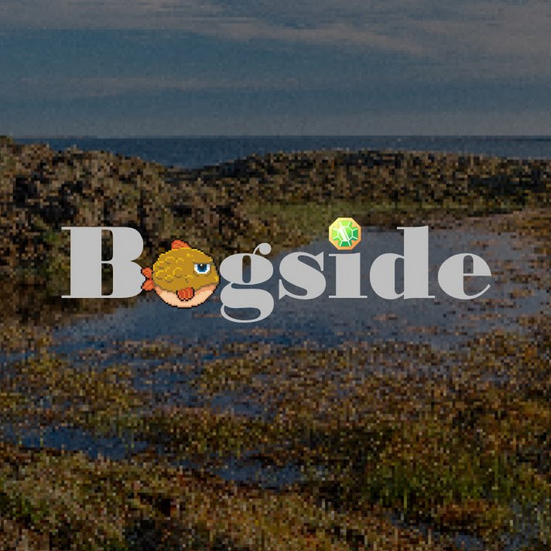 Bogside Chats