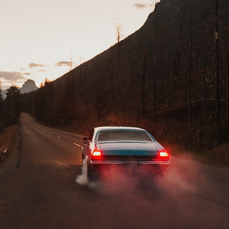Montana Outlaw