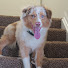 3DEzl_5VnJQ-channel-avatar-Cooper & Bailey