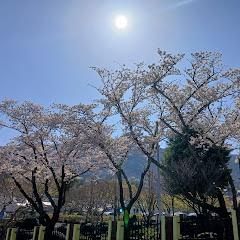 발로란트 하는범주니