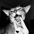 GUenBZZbXNU-channel-avatar-BraysPerspective