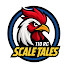 eLMP4oWMvdU-channel-avatar-RC SCALE TALES