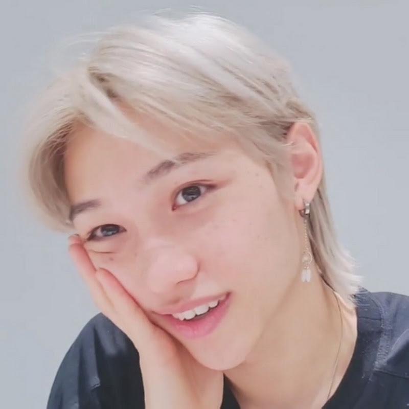 straykids DAYS