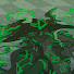 g5aQBTSPvcA-channel-avatar-Blood-Engored Tick