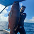 cNxOGCU61bw-channel-avatar-Jesús Cepero. Pesca sub en Cuba