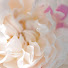 L2j_yOinaPs-channel-avatar-Mother of Pearl  みや