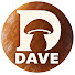 XeU_vW4dLmQ-channel-avatar-Dave Champi