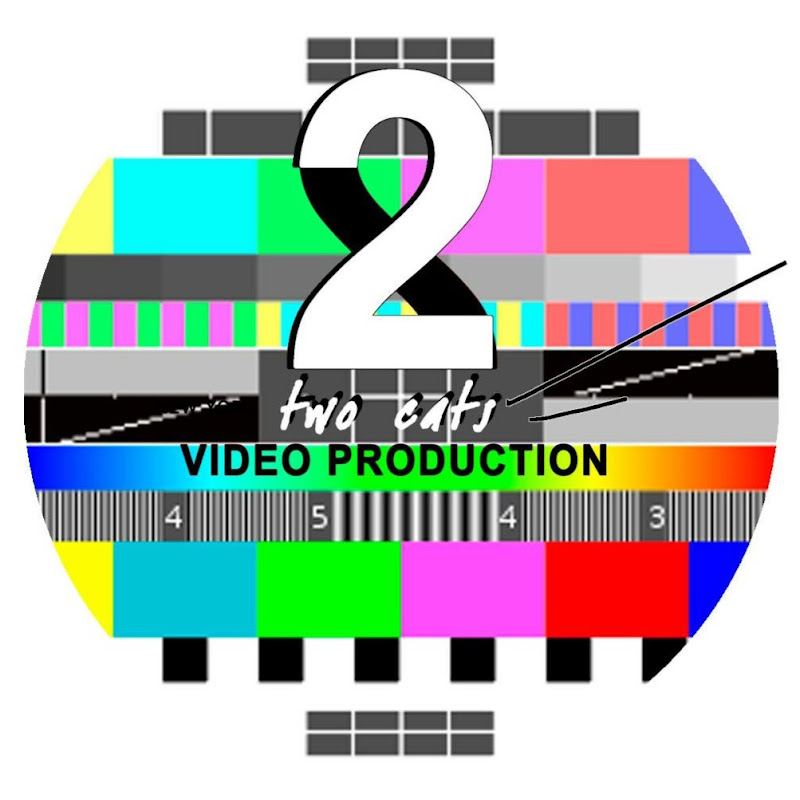 TWO CATS  U.S. POLITICAL NEWS 