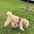 @JfjdDjjd-tl5ib
