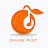 ORANGE MUSIC