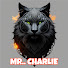 nVa33Kg8QII-channel-avatar-MR. CHARLIE