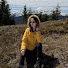 ICwlAxq40IA-channel-avatar-Loksi Campfire