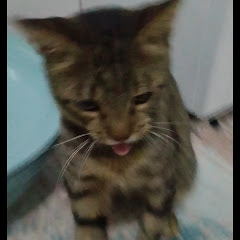 kanalaciklamasinioku