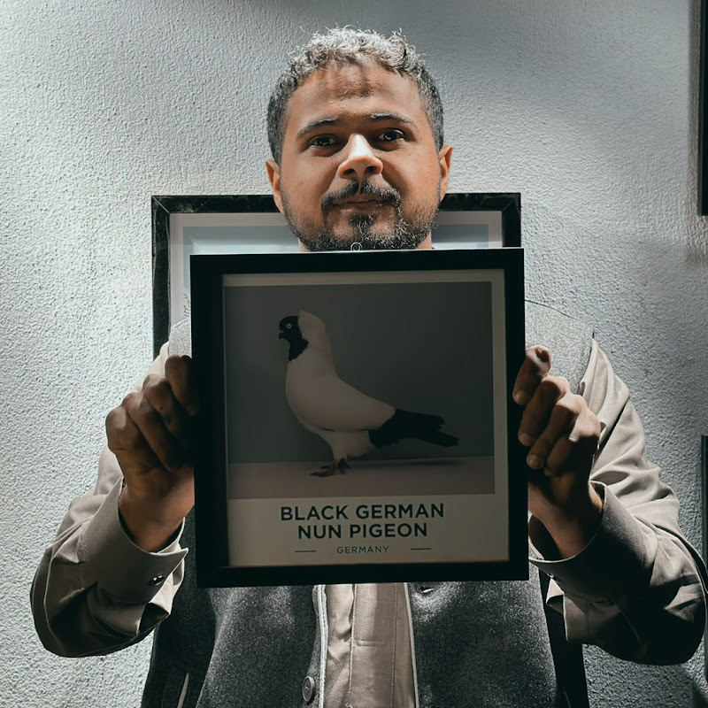 عالم الطِيور | PIGEON 