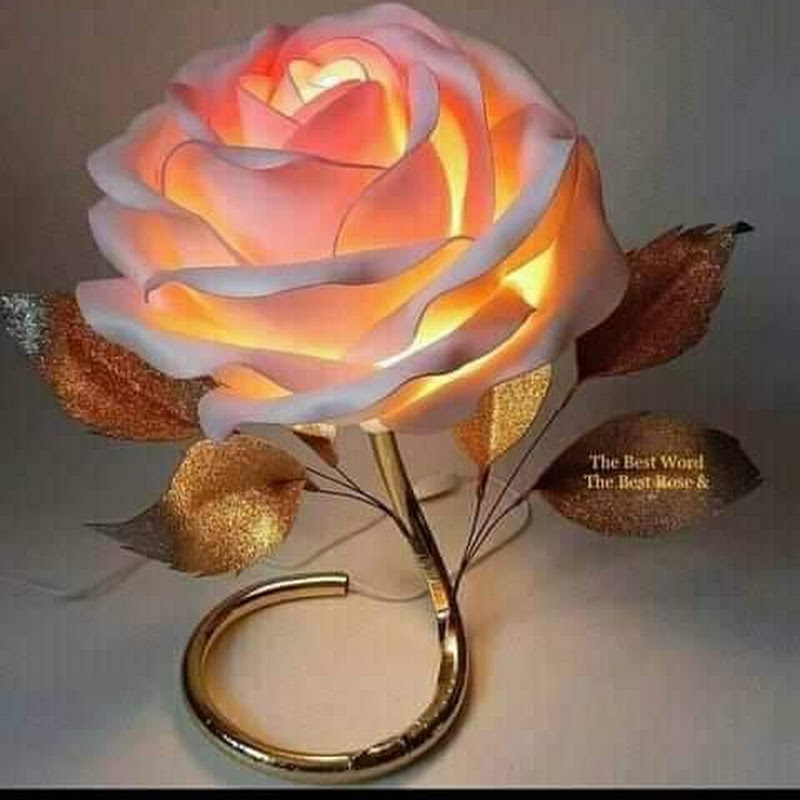 منوعاتaa