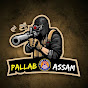 Pallab Assam  logo