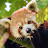 @liathorn2839