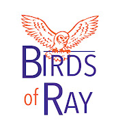 Birds of Ray by Ray Martinez